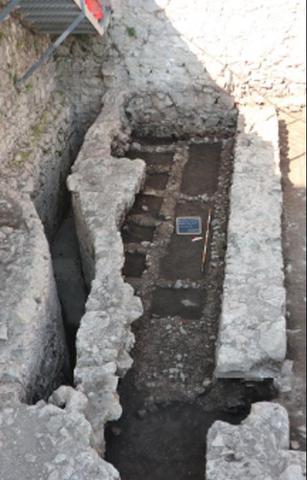 The archaeological area